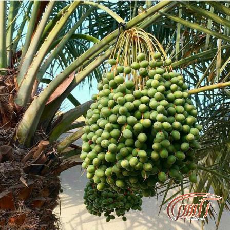 درباره ما