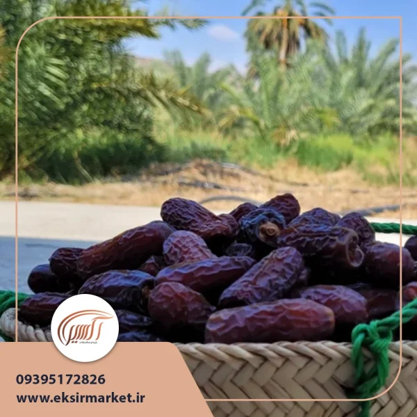 خرمای پیارم سوپر لوکس 1 کیلویی
