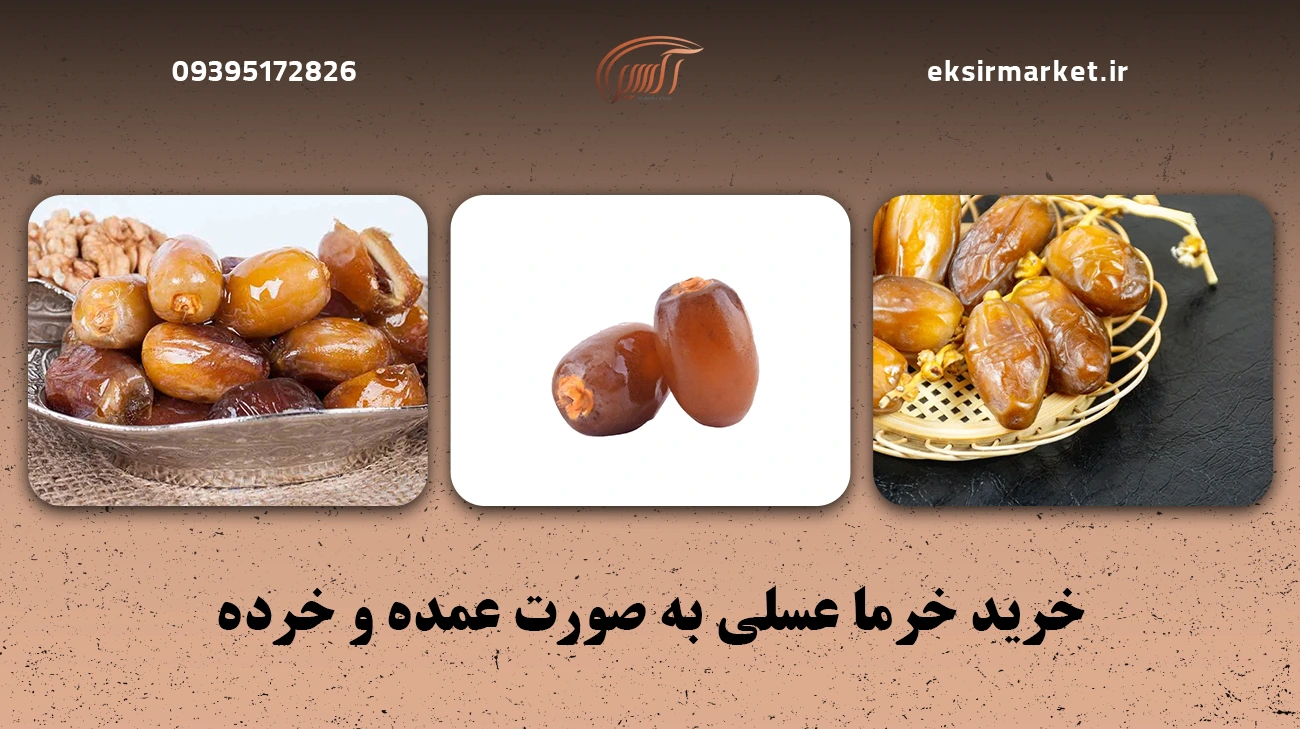 خرید خرما عسلی به صورت عمده و خرده