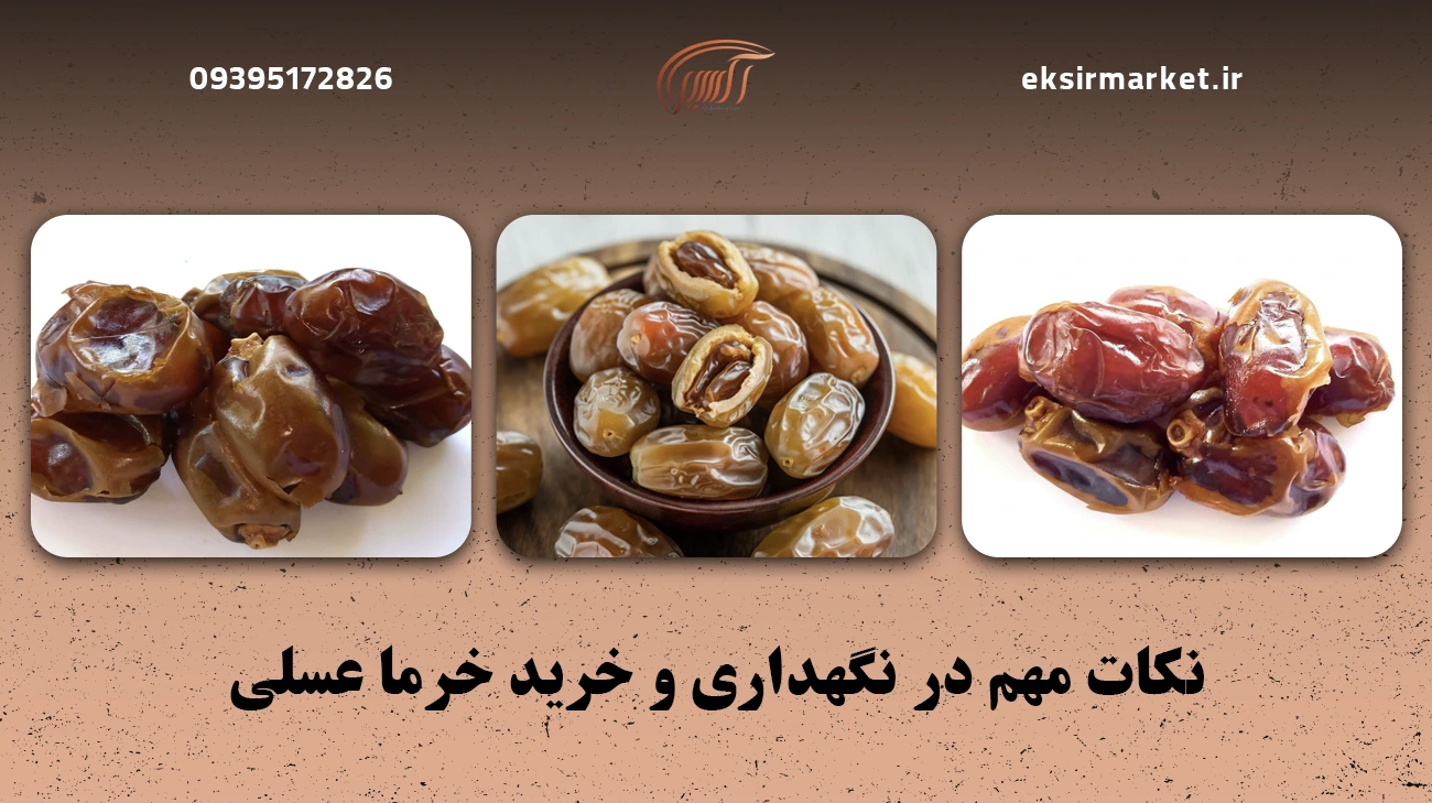 قیمت خرما عسلی و عوامل تاثیرگذار