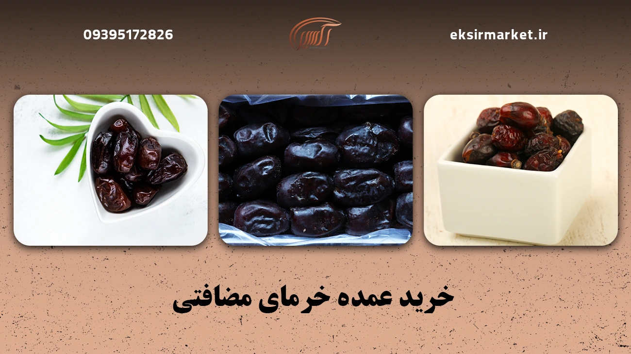 آشنایی با خرما مضافتی-خرید عمده خرمای مضافتی