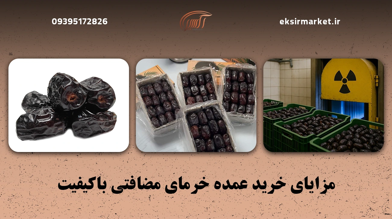 مزایای خرید عمده خرمای مضافتی باکیفیت