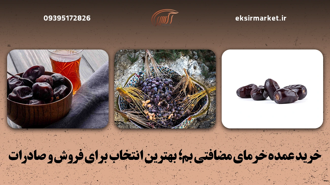 خرید عمده خرمای مضافتی بم؛ بهترین انتخاب برای فروش و صادرات