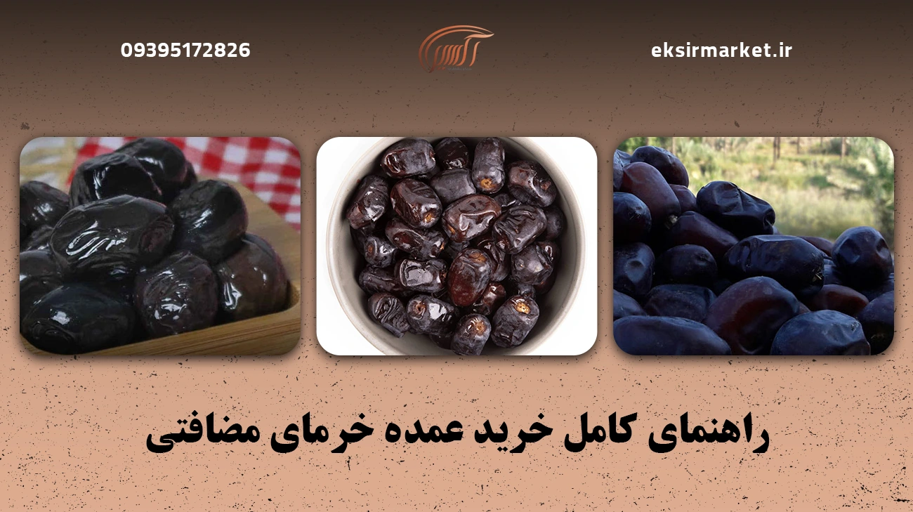 راهنمای کامل خرید عمده خرمای مضافتی