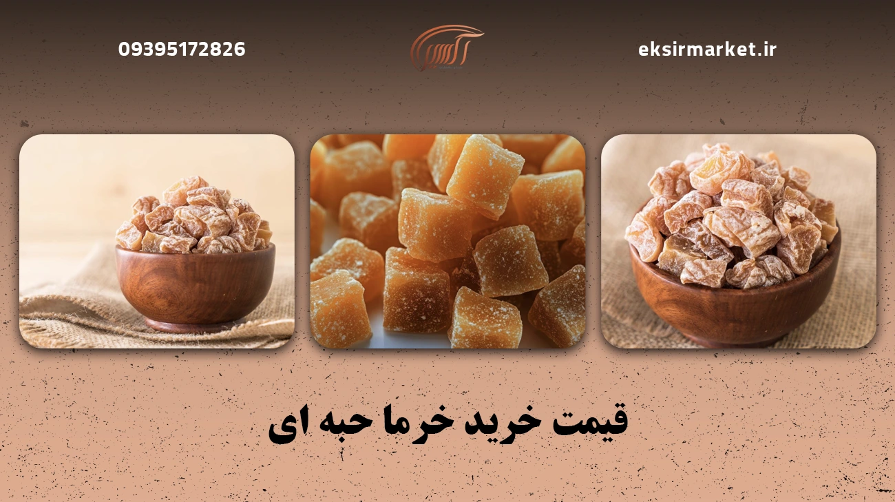 قیمت خرید خرما حبه ای