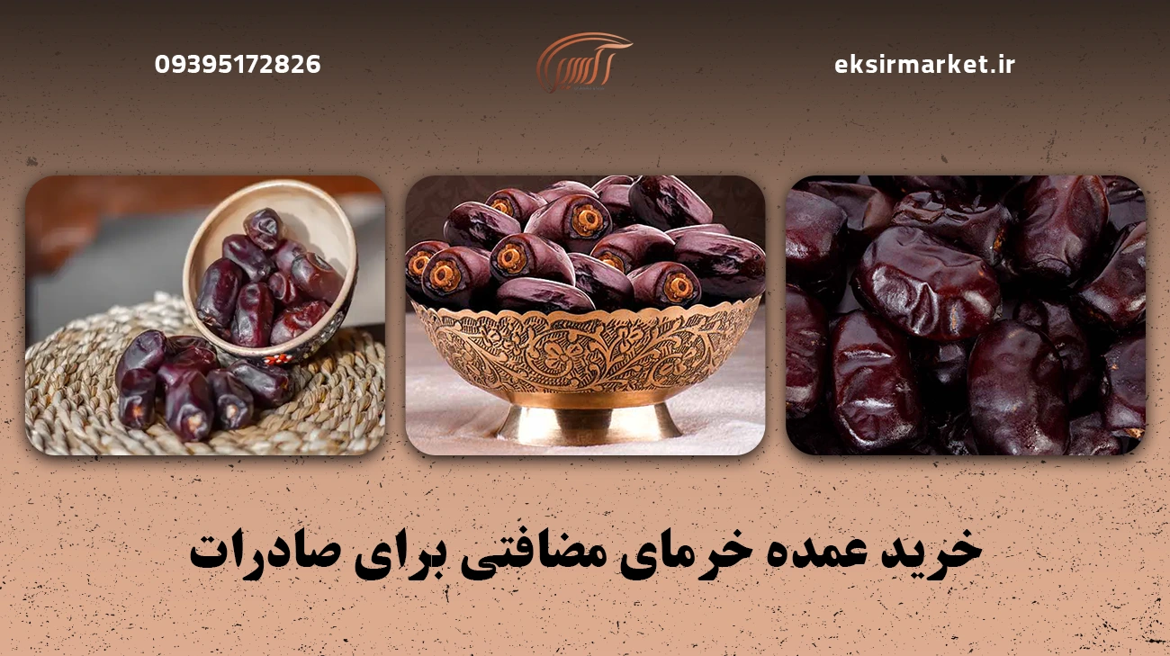 مراحل صادرات خرمای مضافتی