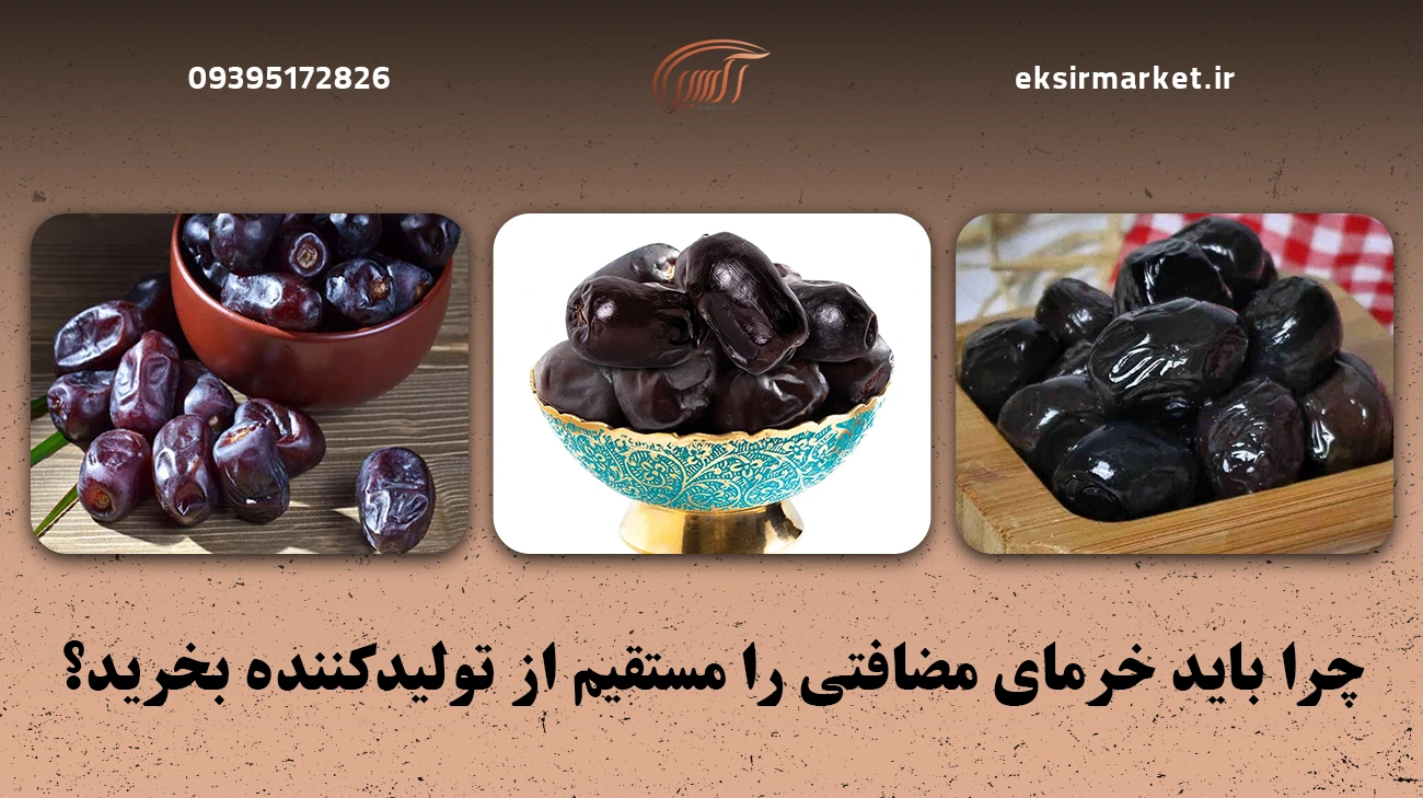 چرا باید خرمای مضافتی را مستقیم از تولیدکننده بخرید؟