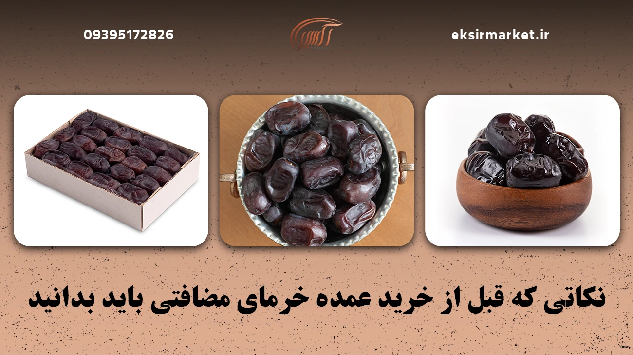 نکاتی که قبل از خرید عمده خرمای مضافتی باید بدانید