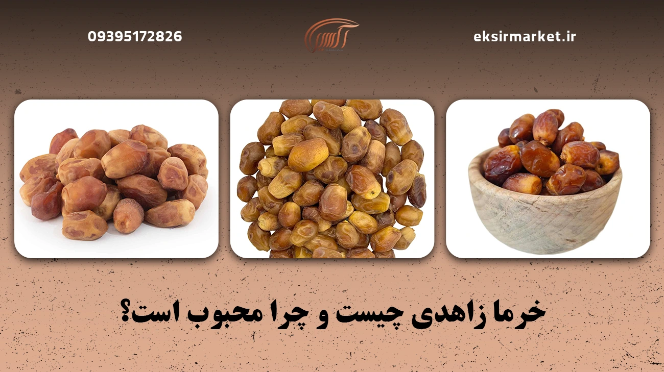 خرما زاهدی چیست و چرا محبوب است؟