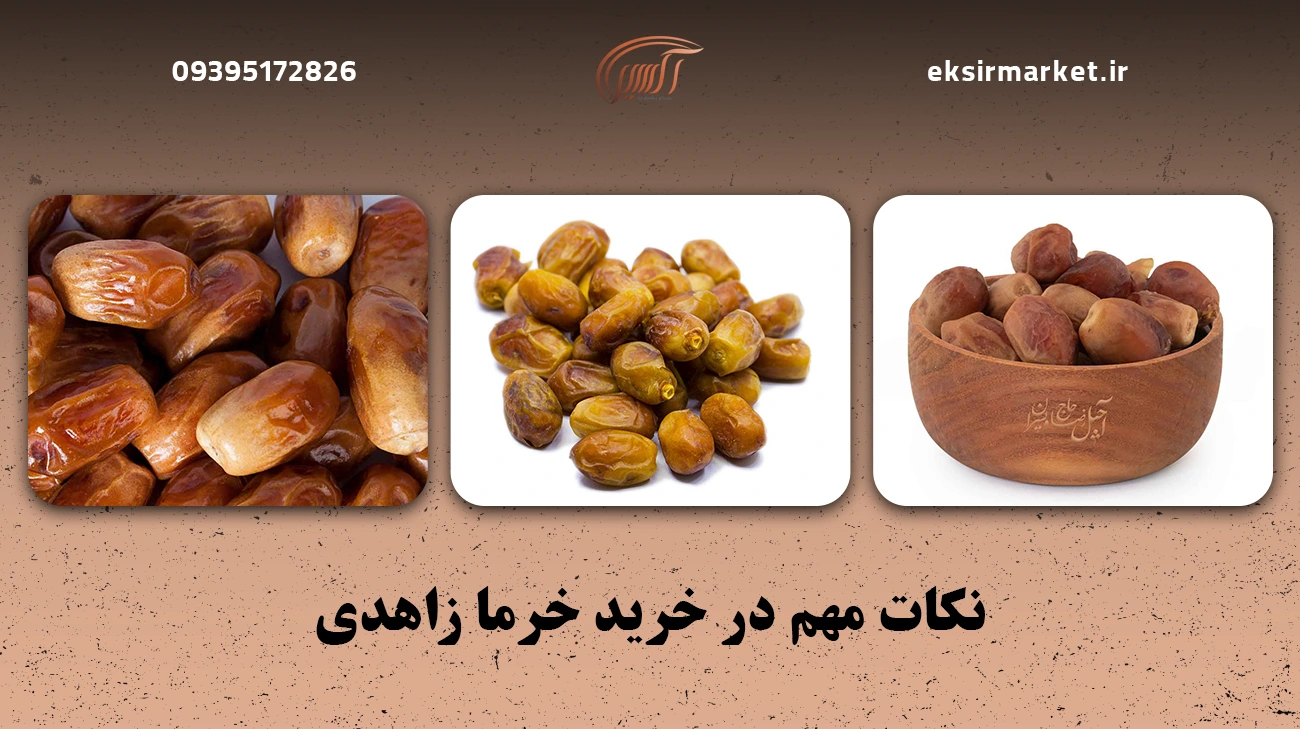 نکات مهم در خرید خرما زاهدی