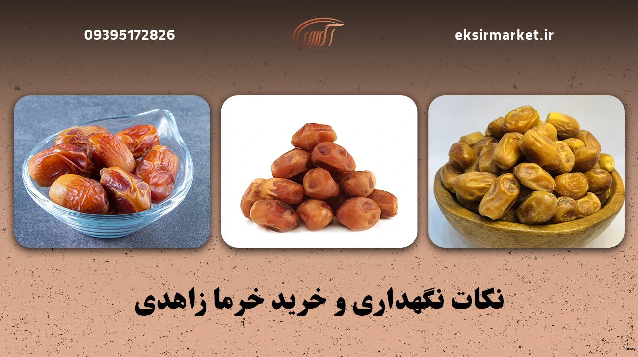 نکات نگهداری و خرید خرما زاهدی