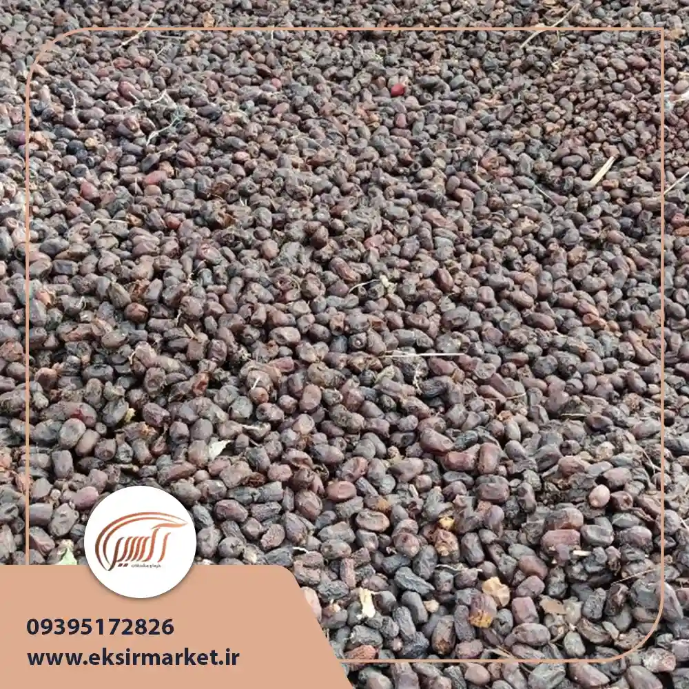 خرمای ضایعاتی 20 کیلویی