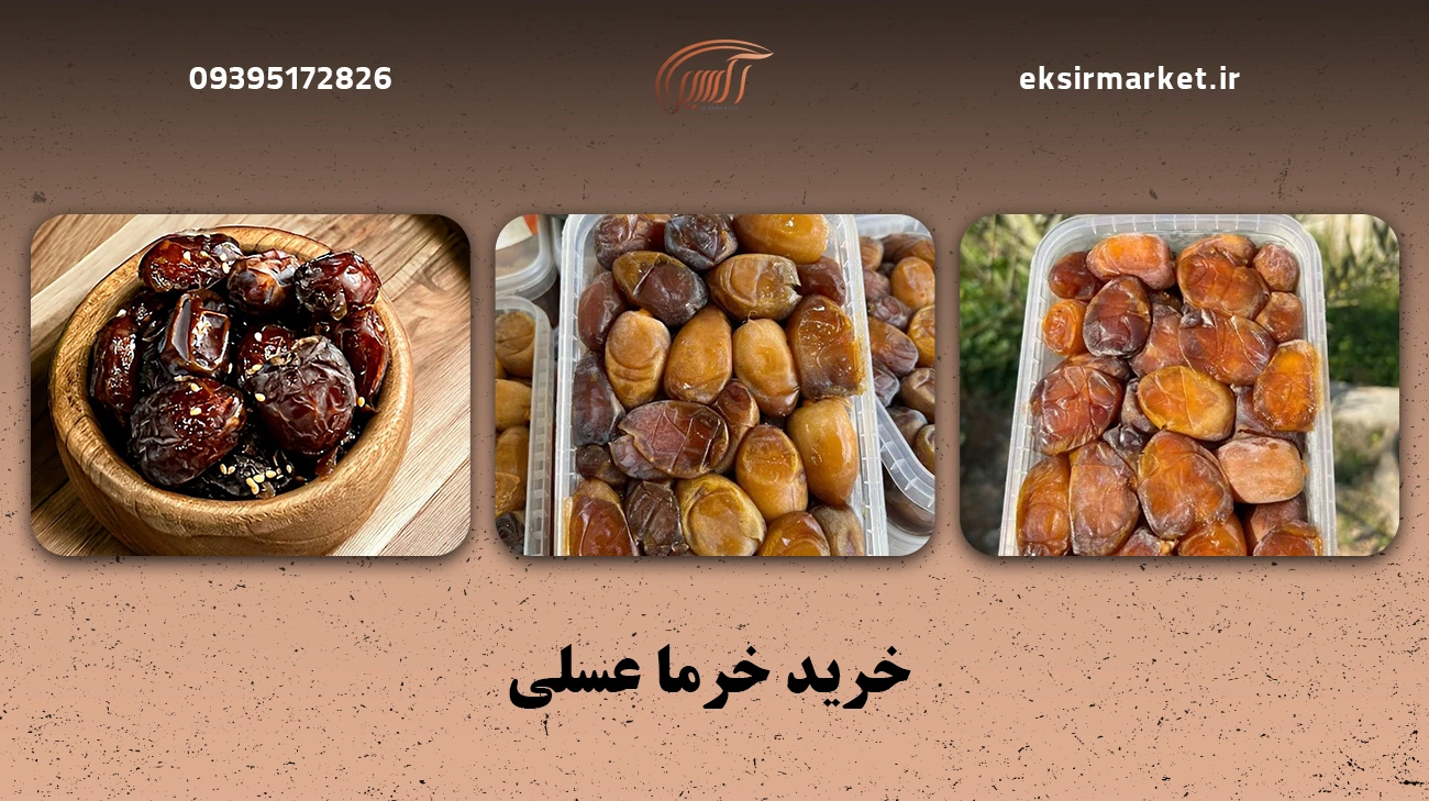 خرید خرما عسلی