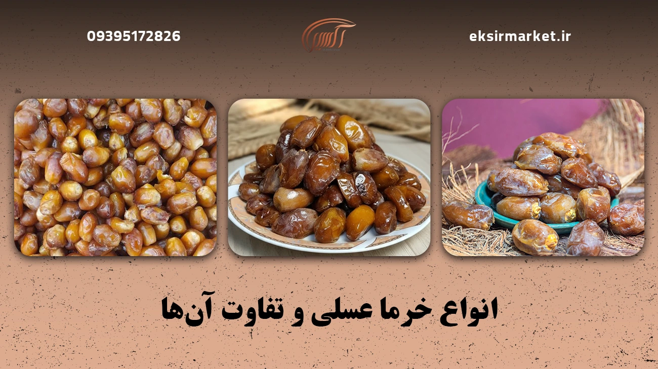 انواع خرما عسلی و تفاوت آن‌ها
