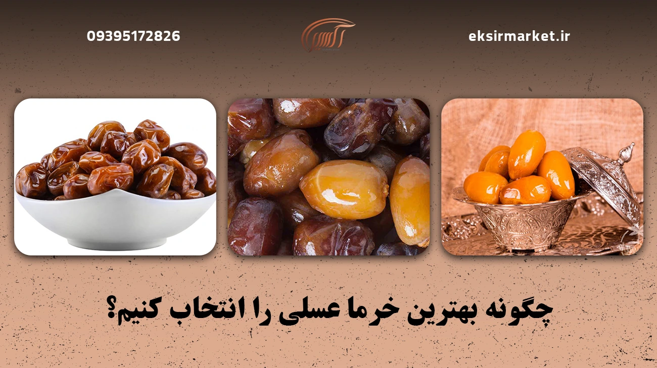 چگونه بهترین خرما عسلی را انتخاب کنیم؟